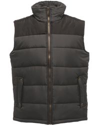 Regatta - Standout Altoona Insulated Bodywarmer Jacket (Seal/ - Lyst