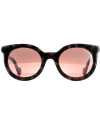 Moncler - Round Coloured Havana Bordeaux Mirror Ml0015 - Lyst