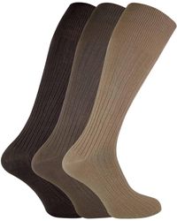 Sock Snob - 3 Pairs Long Knee High Length 100% Cotton Socks - Lyst