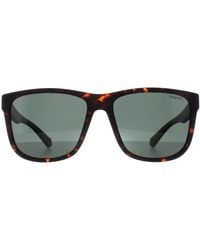 Polaroid - Square Matte Havana Polarized Pld 2155/S - Lyst