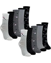 Sock Snob - 10 Pairs Ladies Dog Patterned Socks - Lyst