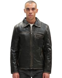 Infinity Leather - Harrington Cow Hide Jacket-Lima - Lyst