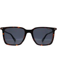 Polaroid - Pld 4183/S/X 086 C3 Havanna Blau Polarisierte Sonnenbrille - Lyst