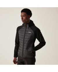 Regatta - Newhill Hybrid Hooded Outdoor Walking Hiking Padded Jacket Coat - Lyst