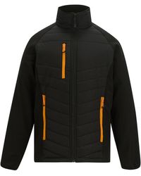 Regatta - Full Zip Padded Jacket Pop) - Lyst