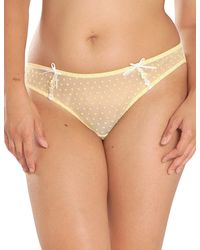 Curvy Kate - Princess Brazilian Brief - Lyst