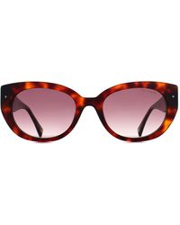 Ted Baker - Oval Tortoise Gradient Tb1737 - Lyst