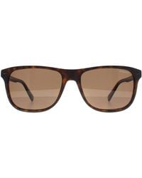Banana Republic - Rectangle Matte Havana Polarized Br 1004/S - Lyst