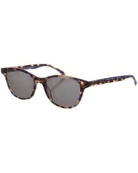 Zen - Z473 Square Shaped Acetate Sunglasses - Lyst