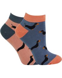 Miss Sparrow - 2 Pair Multipack Ladies Bamboo Trainer Socks - Lyst