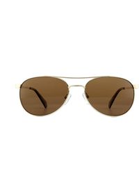 Polaroid - Aviator Bronze Polarized Sunglasses Metal - Lyst