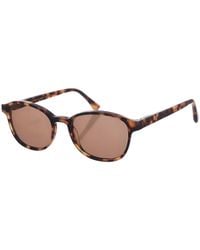Zen - Z422 Square Shape Acetate Sunglasses - Lyst
