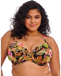 Elomi - 802302 Tiger Valley Plunge Bikini Top - Lyst