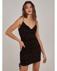 Pink Vanilla - Mesh Leopard Print Cowl Neck Dress - Lyst