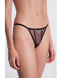 Penti - Tiara Low Waist Stone-Embellished Thong Briefs - Lyst