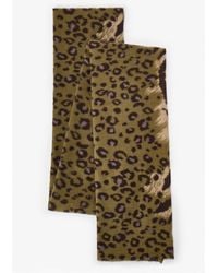 Penti - Barbara Zebra Pattern Scarf - Lyst