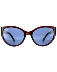 Moschino - Cat Eye Dark Havana Sunglasses - Lyst