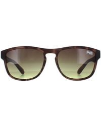 Superdry - Square Rockstar - Lyst