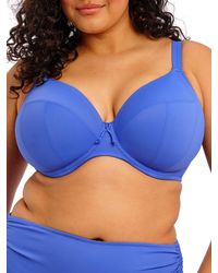 Elomi - Plain Sailing Plunge Bikini Top - Lyst