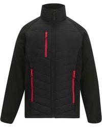 Regatta - Full Zip Padded Jacket /Classic) - Lyst
