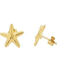 Radiant - Ry000135 Ladies Earrings - Lyst