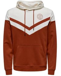 Only & Sons - Regular Fit Hoodie - Lyst