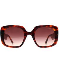Ted Baker - Square Tortoise Gradient Tb1730 Catrina - Lyst