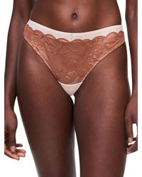 Chantelle - Midnight Flowers Tanga Mocha Bisque - Lyst