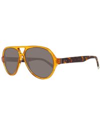 GANT - Acetaat Zonnebril - Lyst