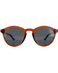 Polaroid - Round Polarized Pld 4153/S - Lyst