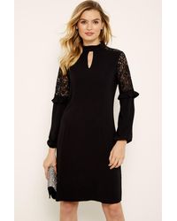 Sosandar - Lace Sleeve Ruffle Detail Shift Dress Nylon - Lyst