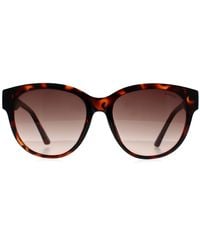 Guess - Cat Eye Dark Havana Gradient Gf6163 - Lyst