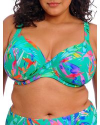 Elomi - Toyama Tides Plunge Bikini Top - Lyst