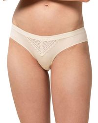 Triumph - Aura Spotlight Brazilian - Lyst