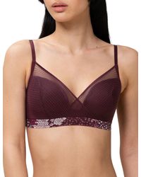 Triumph - Lavish Spotlight Padded Bralette Bra - Lyst
