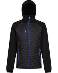 Regatta - Navigate Quilted Hybrid Jacket /New Royal) - Lyst