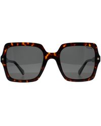 Polaroid - Pld 4165/S/X 086 M9 Havanna Grau Polarisierte Sonnenbrille - Lyst