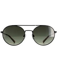 Ted Baker - Round Tb1531 Warner Sunglasses Metal - Lyst