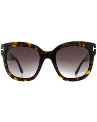 Tom Ford - Square Dark Havana Bordeaux Gradient Sunglasses - Lyst