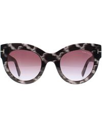 Tom Ford - Cat Eye Havana Marble Gradient Lucilla Ft1063 - Lyst