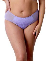 Berlei - Beauty Everyday Deep Brief - Lyst