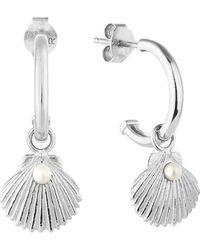 Radiant - Ry000143 Ladies Earrings - Lyst
