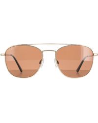Serengeti - Aviator Matte Light Polarized Drivers Carroll Metal (Archived) - Lyst