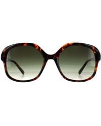 Ted Baker - Square Tortoise Gradient Tb1685 Eloise - Lyst