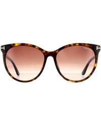 Tom Ford - Cat Eye Dark Havana Gradient Sunglasses - Lyst