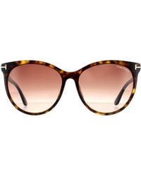 Tom Ford - Cat Eye Dark Havana Gradient Sunglasses - Lyst