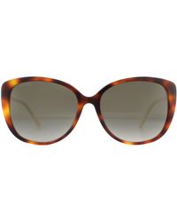 Jimmy Choo - Sunglasses Aly/F/S 086 Ha Havana Gradient - Lyst