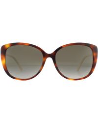 Jimmy Choo - Sunglasses Aly/F/S 086 Ha Havana Gradient - Lyst