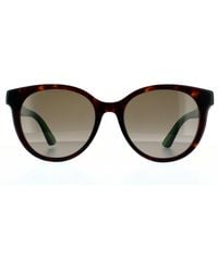 Gucci - Round Havana With And Gradient Sunglasses - Lyst