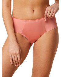 Triumph - 10166828 Essential Minimiser Hipster Brief - Lyst